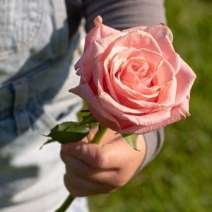 A person holding a rose that they we're thankful to be given